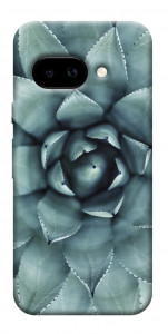 Чехол Суккуленты для Google Pixel 9a