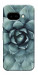 Чехол Суккуленты для Google Pixel 9a