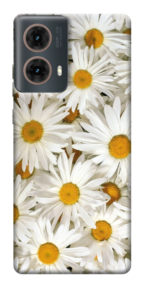 Чохол Chamomile для Motorola Moto G85