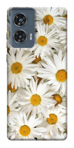 Чехол Chamomile для Motorola Edge 50 Fusion