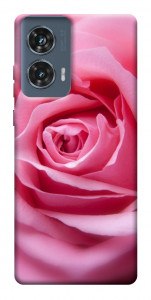 Чехол Pink bud для Motorola Edge 50 Fusion