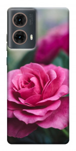 Чохол Троянда у саду для Motorola Moto G85