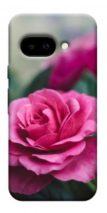 Чехол Роза в саду для Google Pixel 9a