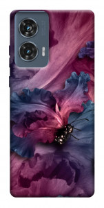 Чехол Насекомое для Motorola Edge 50 Fusion