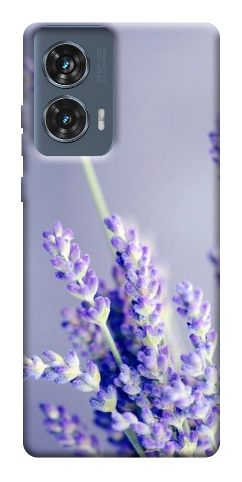 Чехол Лаванда для Motorola Edge 50 Fusion