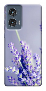 Чехол Лаванда для Motorola Edge 50 Fusion
