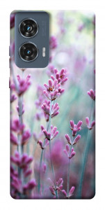Чехол Лаванда 2 для Motorola Edge 50 Fusion