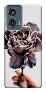 Чехол Гвоздика для Motorola Edge 50 Fusion