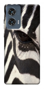 Чехол Зебра для Motorola Edge 50 Fusion