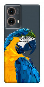 Чехол Попугай для Motorola Moto G85