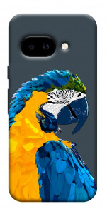 Чехол Попугай для Google Pixel 9a