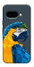 Чехол Попугай для Google Pixel 9a
