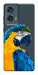 Чехол Попугай для Motorola Edge 50 Fusion