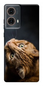 Чехол Рыжий кот для Motorola Moto G85