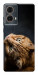 Чохол Рудий кіт для Motorola Moto G85