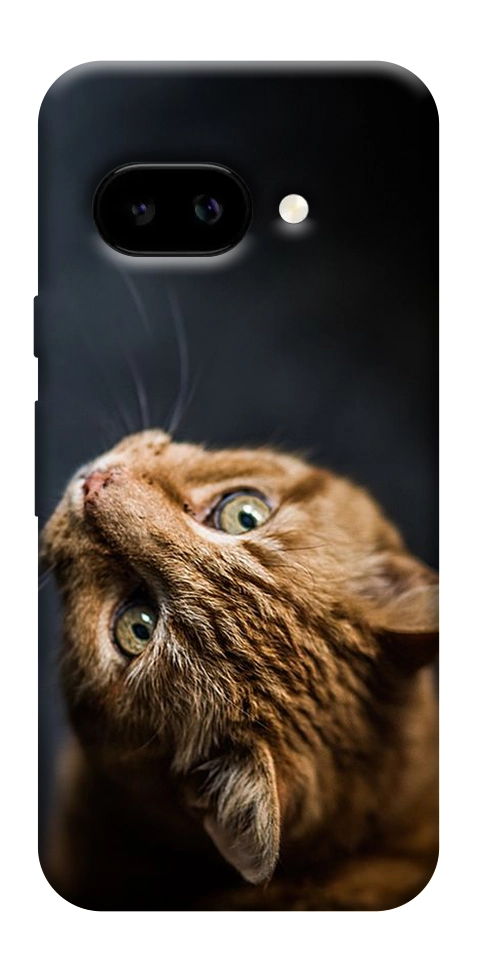 Чехол Рыжий кот для Google Pixel 9a