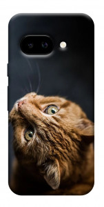 Чехол Рыжий кот для Google Pixel 9a