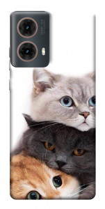 Чехол Три кота для Motorola Moto G85