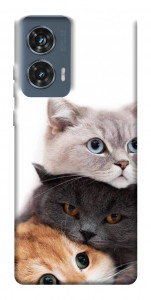 Чехол Три кота для Motorola Edge 50 Fusion