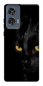 Чехол Черный кот для Motorola Edge 50 Fusion