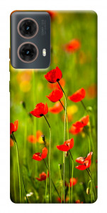Чехол Маковое поле для Motorola Moto G85