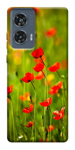 Чехол Маковое поле для Motorola Edge 50 Fusion
