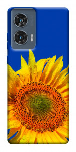 Чехол Sunflower для Motorola Edge 50 Fusion