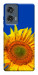 Чехол Sunflower для Motorola Edge 50 Fusion