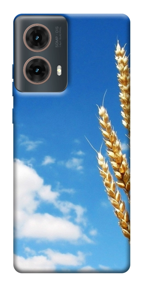 Чехол Пшеница для Motorola Moto G85