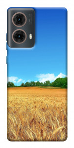 Чехол Пшеничное поле для Motorola Moto G85