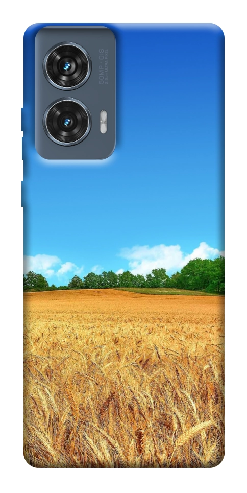 Чехол Пшеничное поле для Motorola Edge 50 Fusion