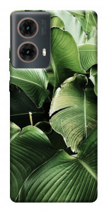 Чехол Тропическая листва для Motorola Moto G85