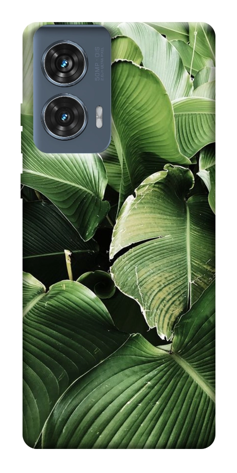 Чехол Тропическая листва для Motorola Edge 50 Fusion