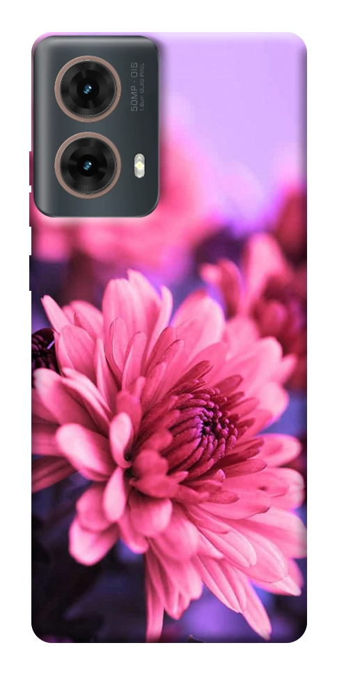 Чехол Нежная хризантема для Motorola Moto G85