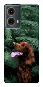 Чехол Собака в зелени для Motorola Moto G85