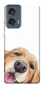 Чехол Funny dog для Motorola Edge 50 Fusion