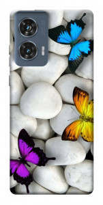 Чехол Butterflies для Motorola Edge 50 Fusion