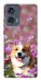Чехол Корги в цветах для Motorola Edge 50 Fusion