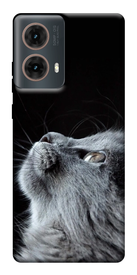 Чехол Cute cat для Motorola Moto G85