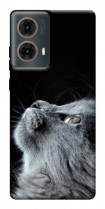 Чехол Cute cat для Motorola Moto G85