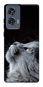 Чехол Cute cat для Motorola Edge 50 Fusion