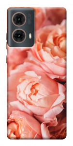 Чехол Нежные розы для Motorola Moto G85