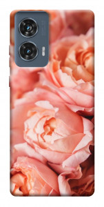 Чехол Нежные розы для Motorola Edge 50 Fusion