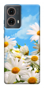 Чехол Ромашковое поле для Motorola Moto G85