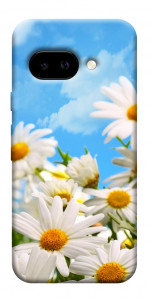 Чехол Ромашковое поле для Google Pixel 9a