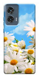 Чехол Ромашковое поле для Motorola Edge 50 Fusion
