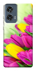 Чехол Красочные тюльпаны для Motorola Edge 50 Fusion