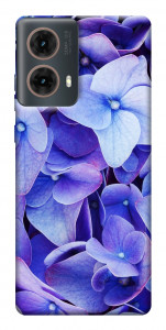 Чехол Гортензия для Motorola Moto G85