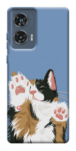Чехол Funny cat для Motorola Edge 50 Fusion