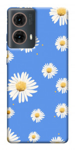 Чехол Chamomile pattern для Motorola Moto G85